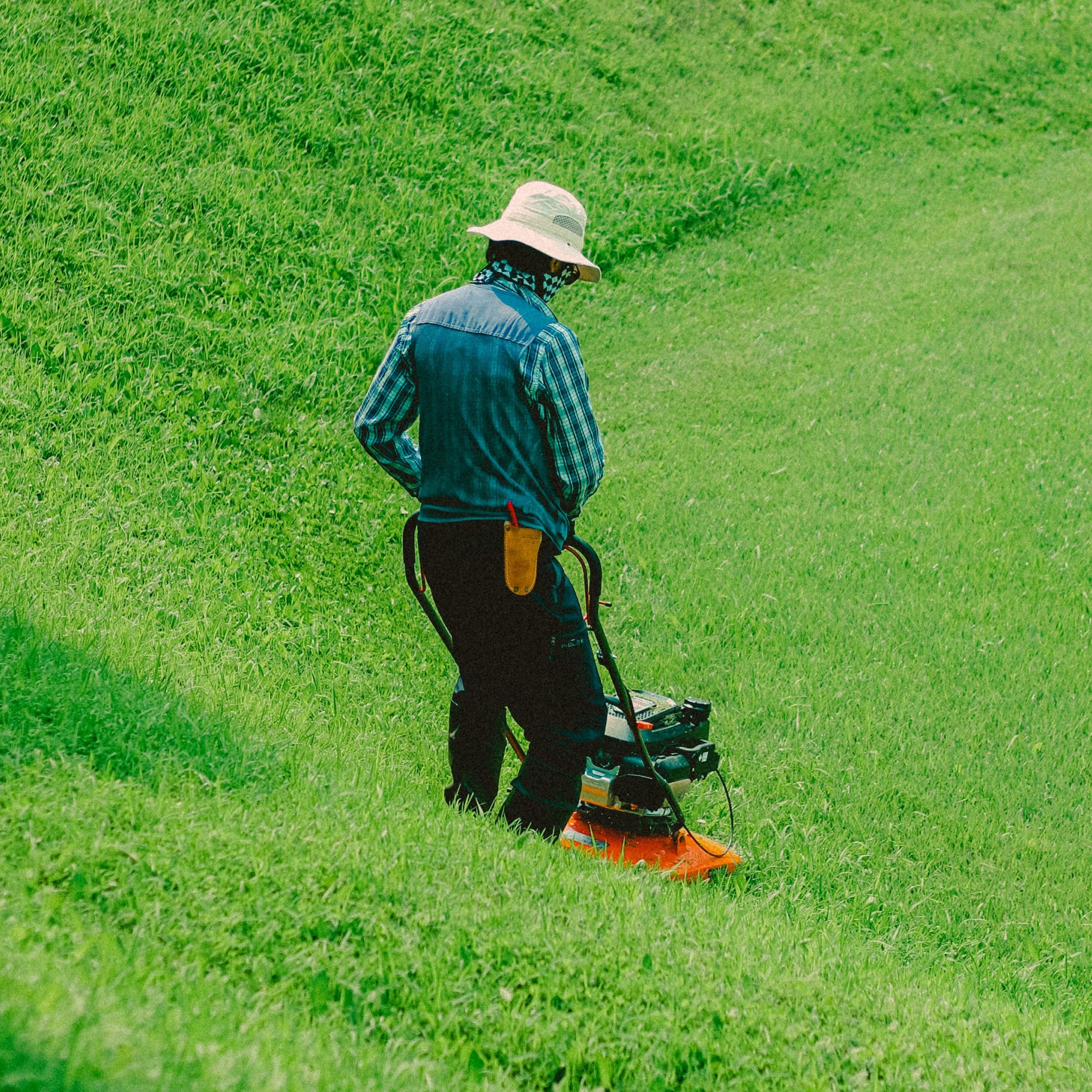 Jardinage et entretien de la pelouse