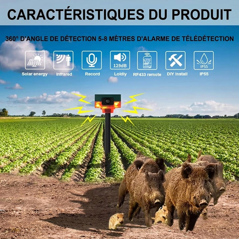 BirdyBane Répulsif À Ultrasons Pour Pigeons