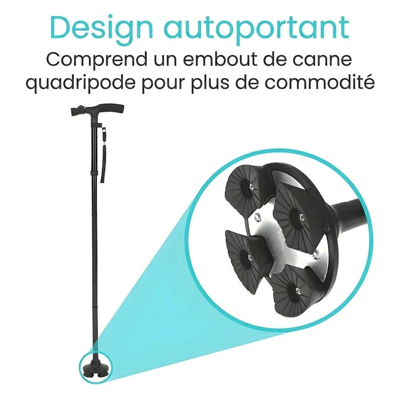 FlexCanet Canne De Marche