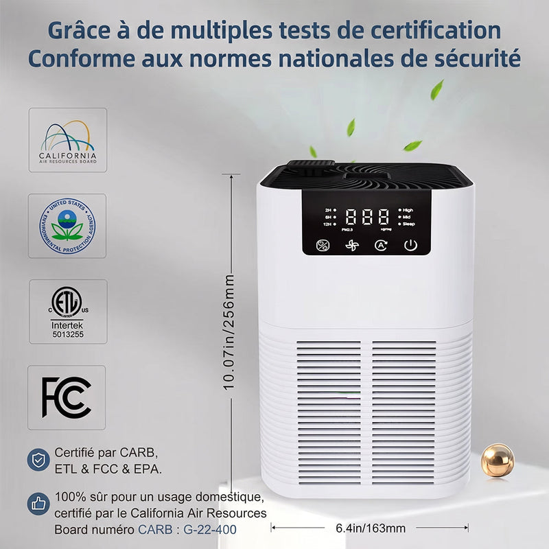 Buddemas Purificateur d'Air