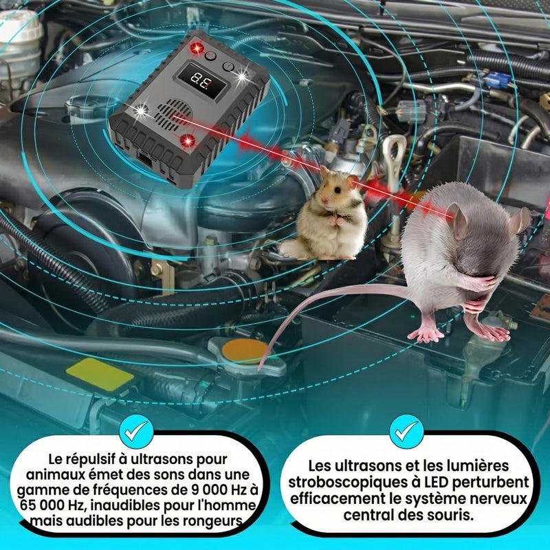 AutexRat Repulsif Fouine Pour Voiture