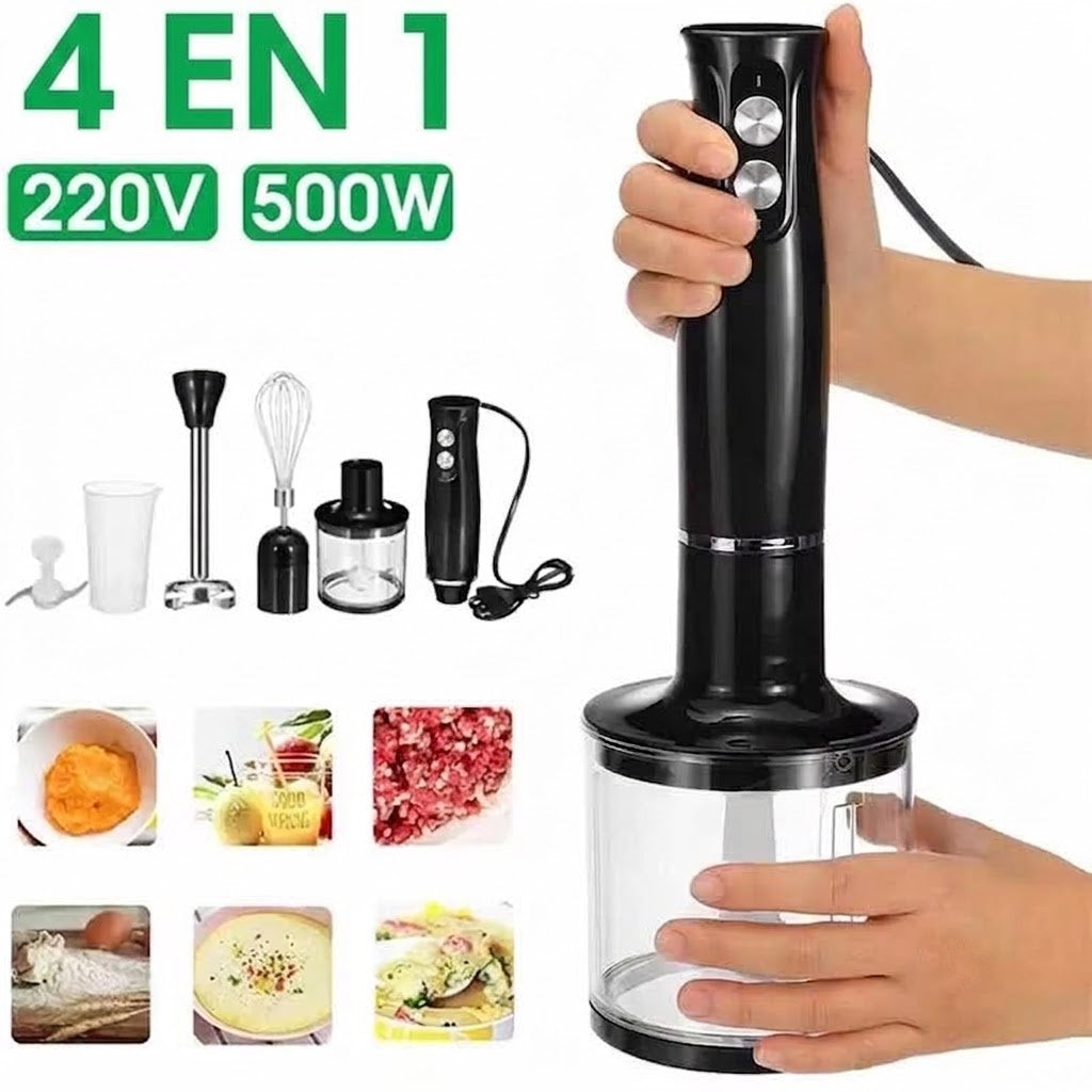 BlenDiox Mixeur Plongeant