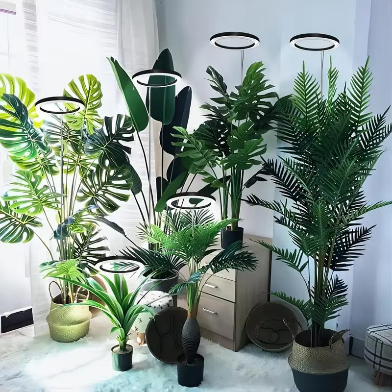 Floramoot  Lampe De Croissance Plante