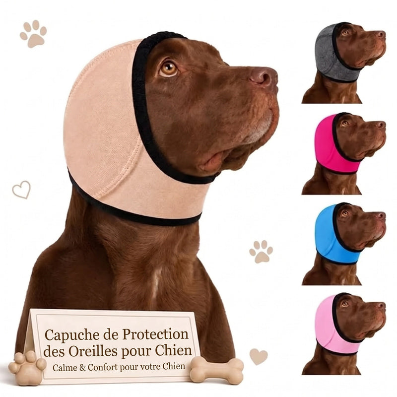 EarPupies Casque Anti Bruit Chien