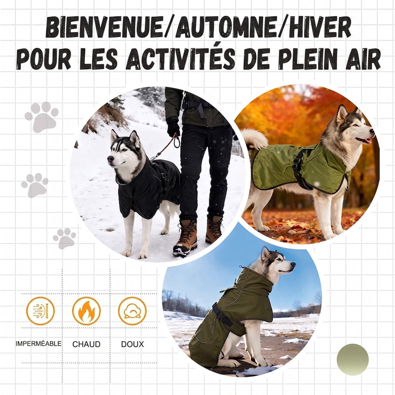 RainoTail Imperméable Pour Chien