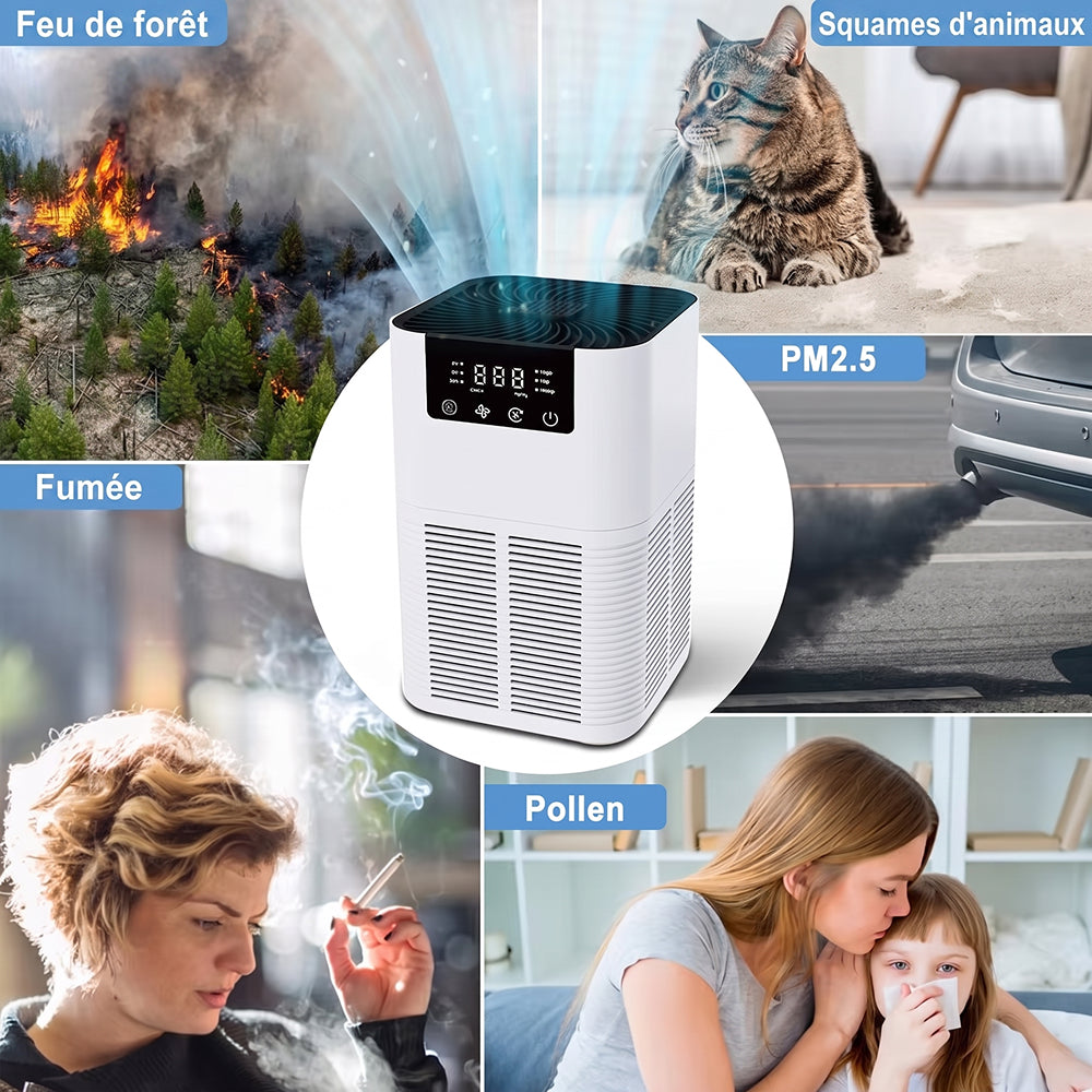 Buddemas Purificateur d'Air