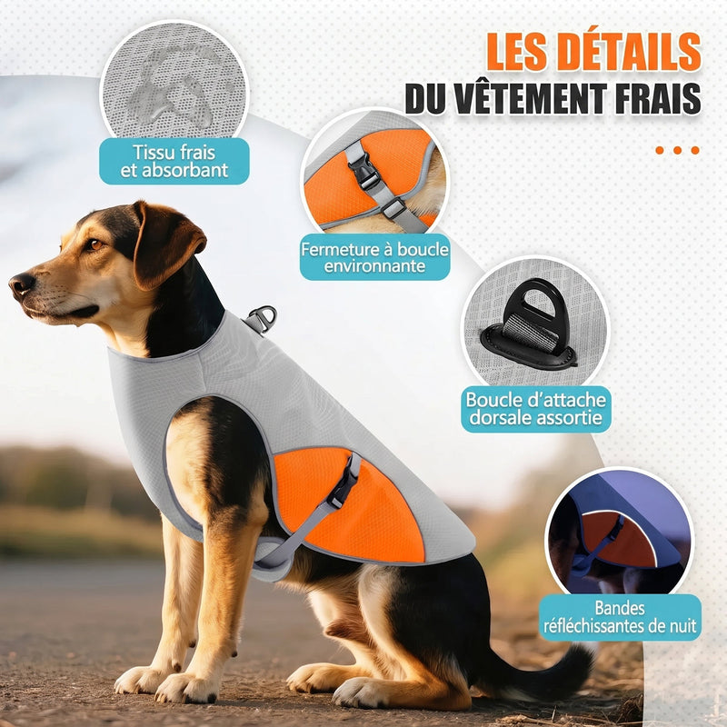 IcePupur Gilet Rafraîchissant Pour Chien