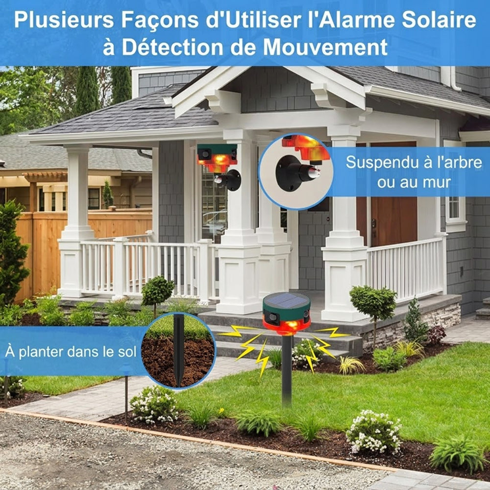 BirdyBane Répulsif À Ultrasons Pour Pigeons