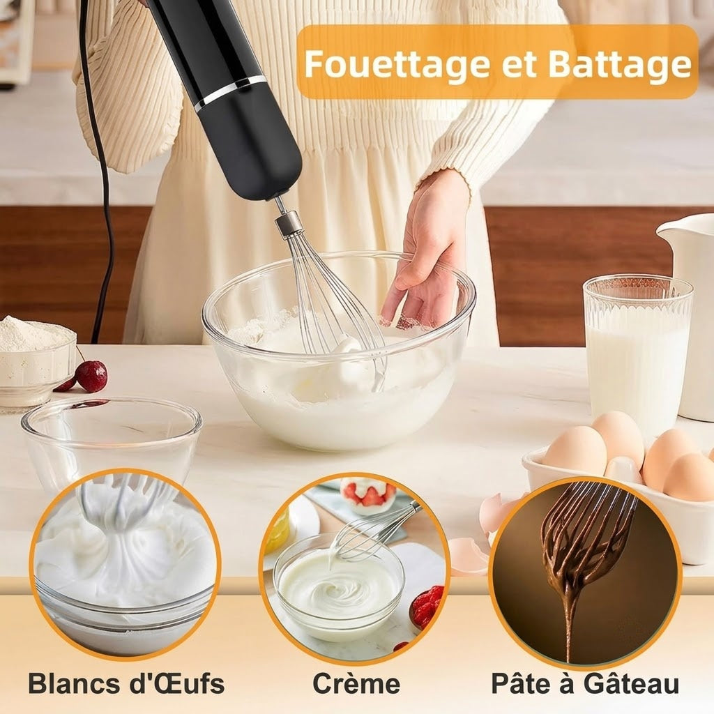 BlenDiox Mixeur Plongeant