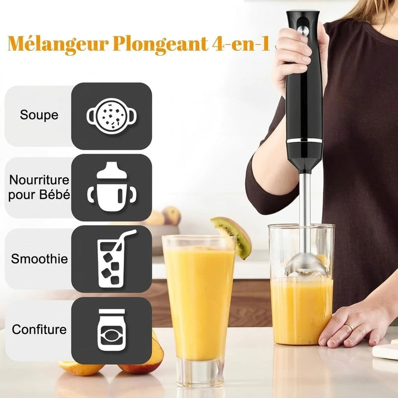BlenDiox Mixeur Plongeant