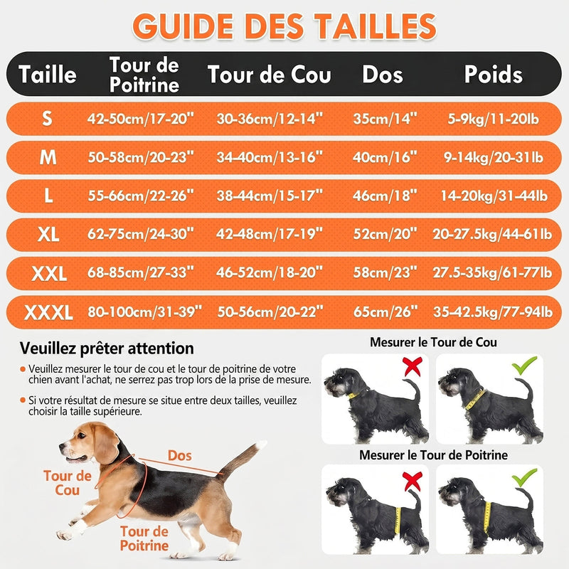 IcePupur Gilet Rafraîchissant Pour Chien