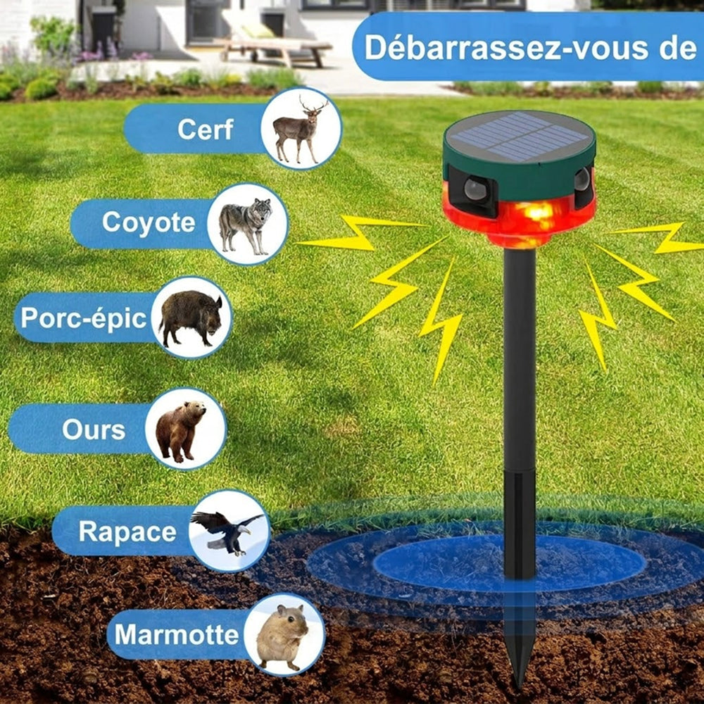 BirdyBane Répulsif À Ultrasons Pour Pigeons