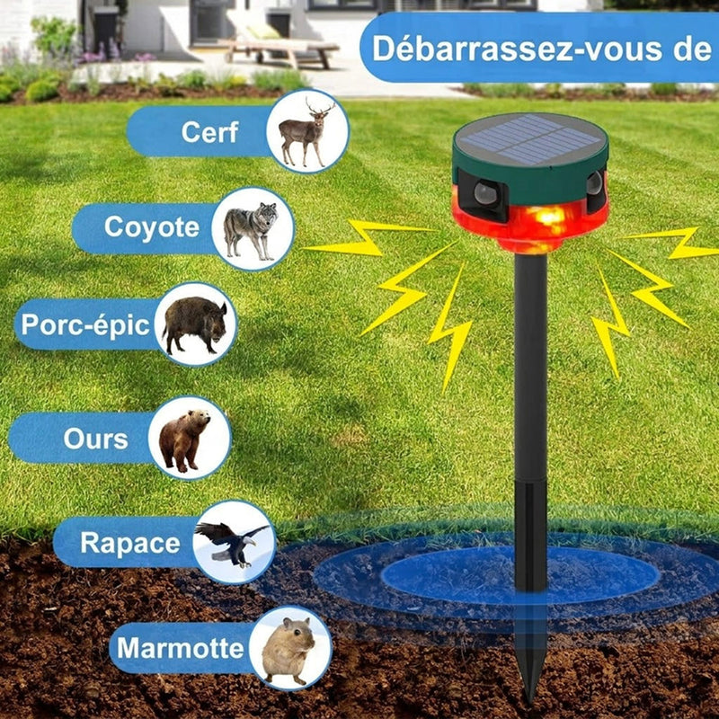 BirdyBane Répulsif À Ultrasons Pour Pigeons