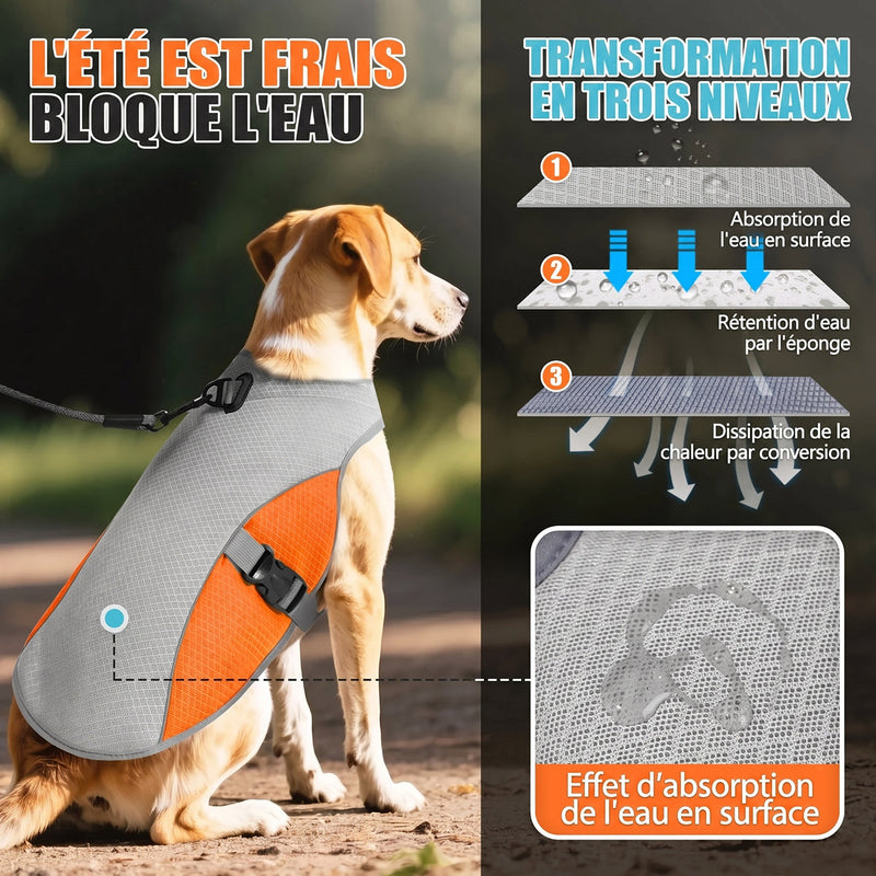 IcePupur Gilet Rafraîchissant Pour Chien