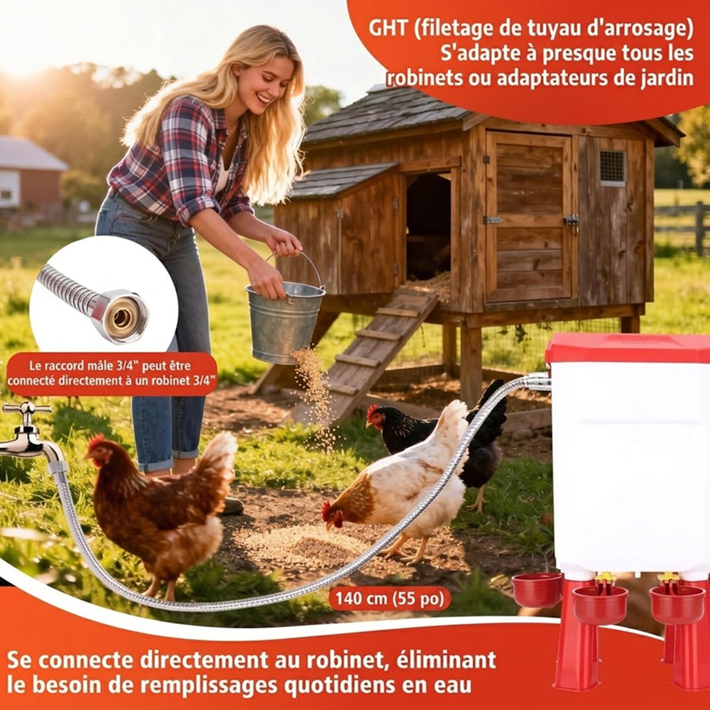 Flochiken Abreuvoir Automatique Poule