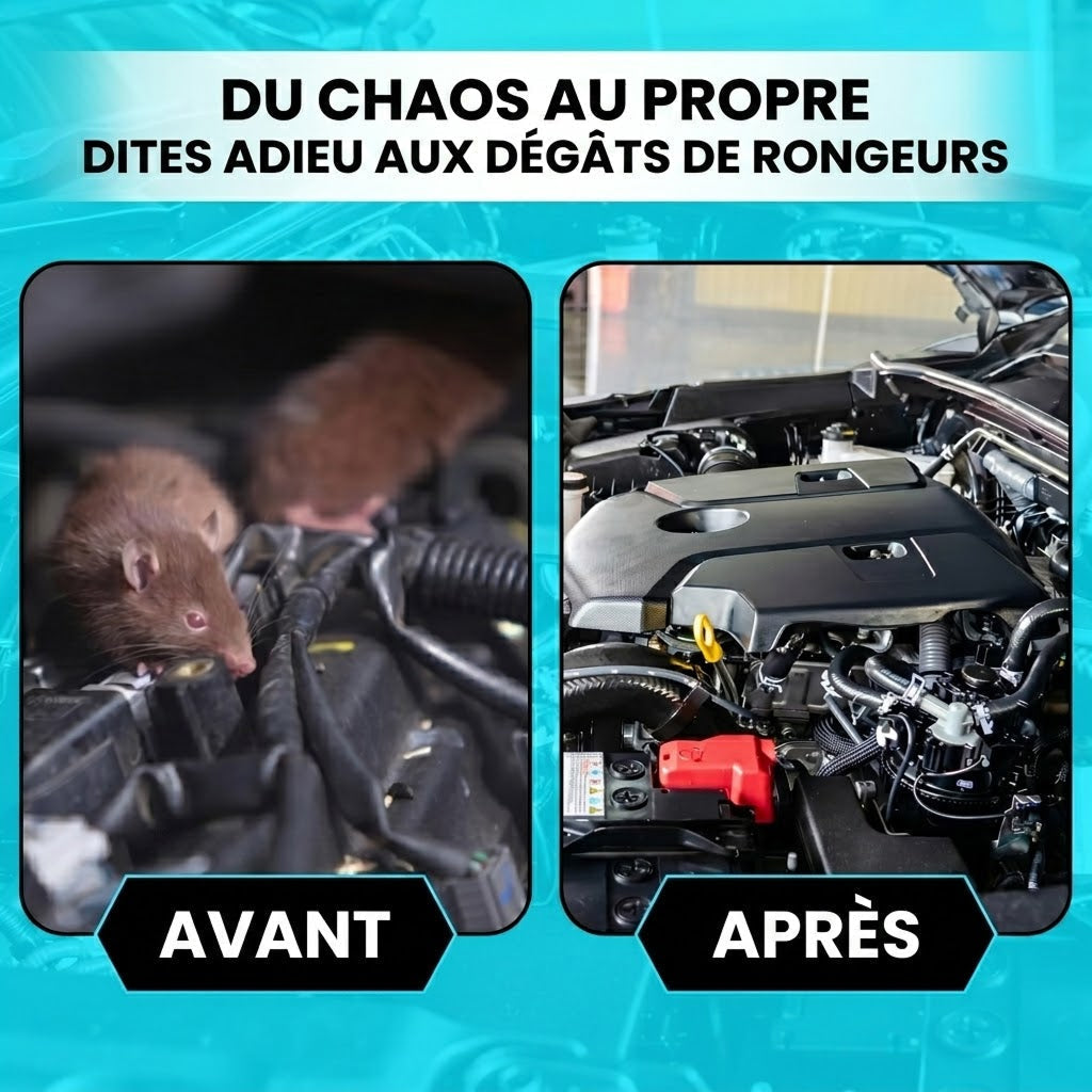 AutexRat Repulsif Fouine Pour Voiture
