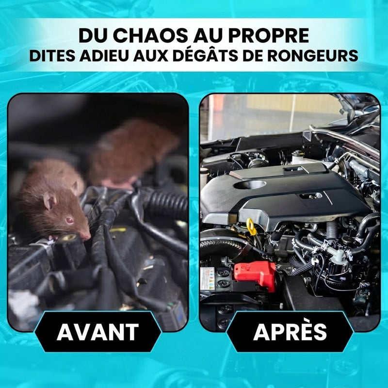AutexRat Repulsif Fouine Pour Voiture