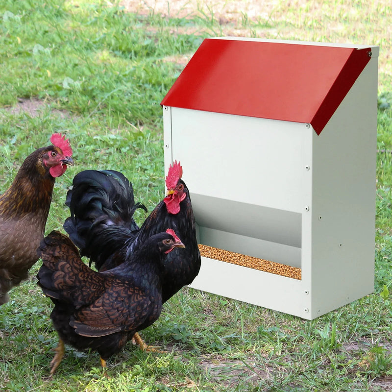 Flockixal Mangeoire Automatique Pour Poules