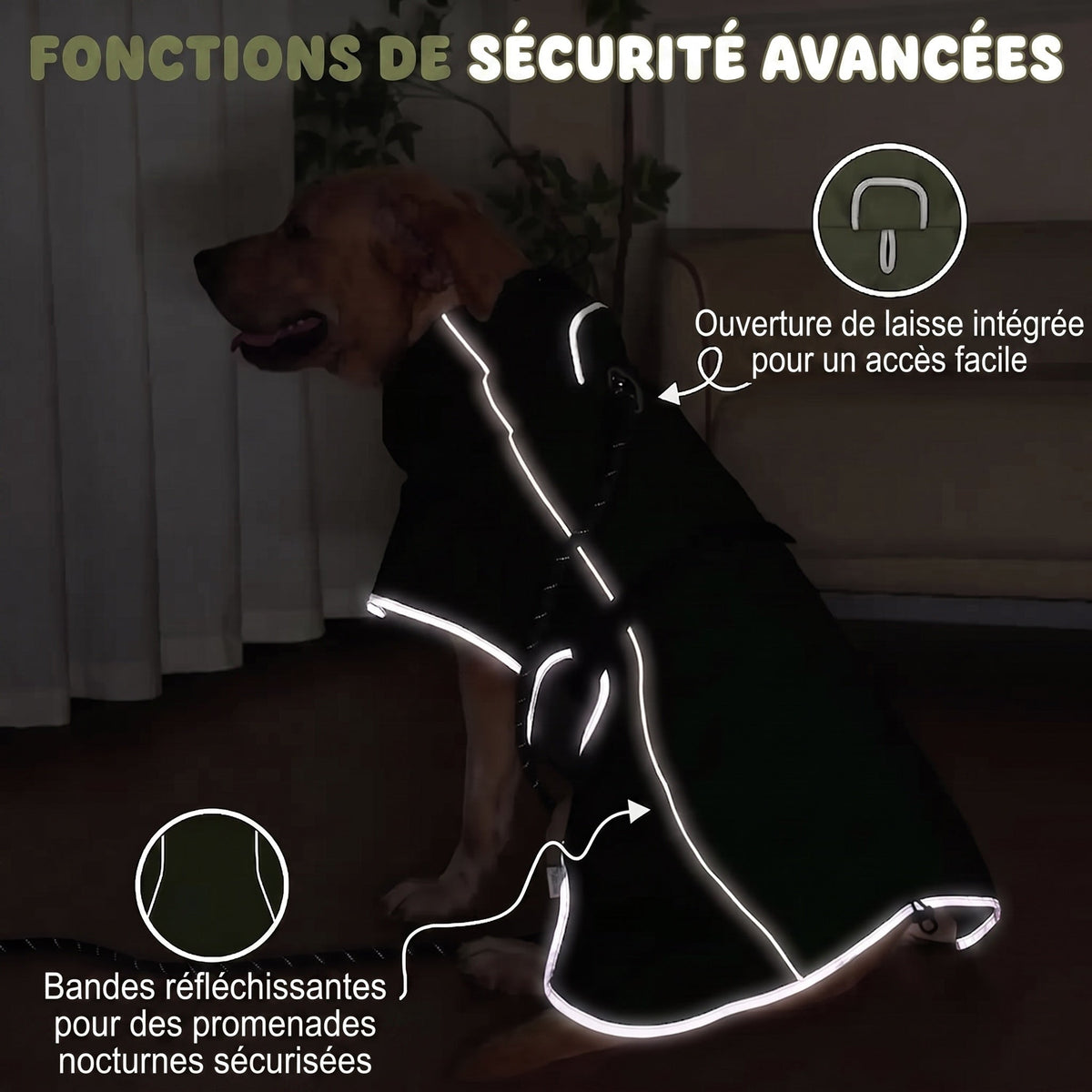 RainoTail Imperméable Pour Chien