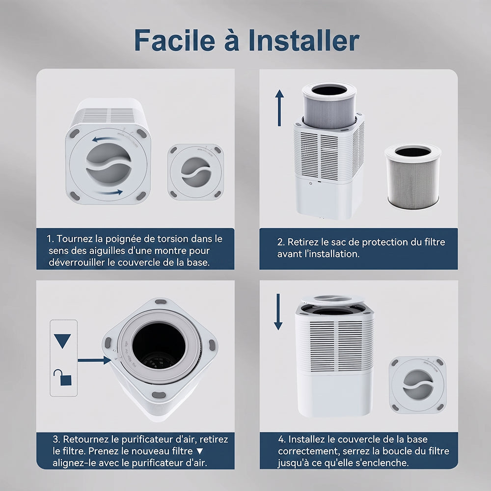 Buddemas Purificateur d'Air
