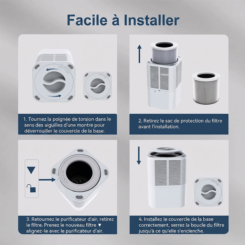 Buddemas Purificateur d'Air