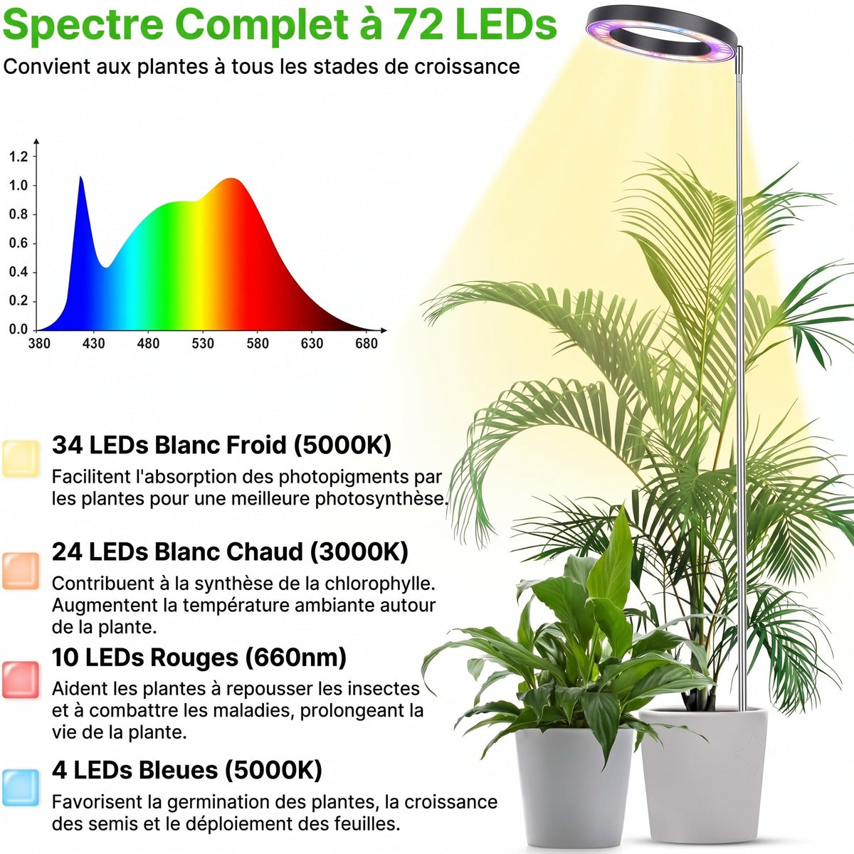 Floramoot  Lampe De Croissance Plante