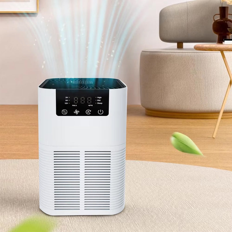 Buddemas Purificateur d'Air