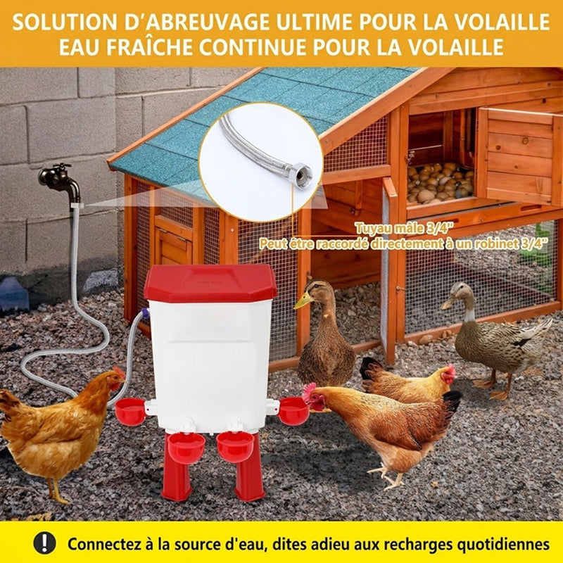 Flochiken Abreuvoir Automatique Poule