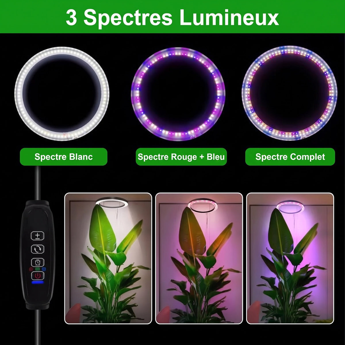 Floramoot  Lampe De Croissance Plante