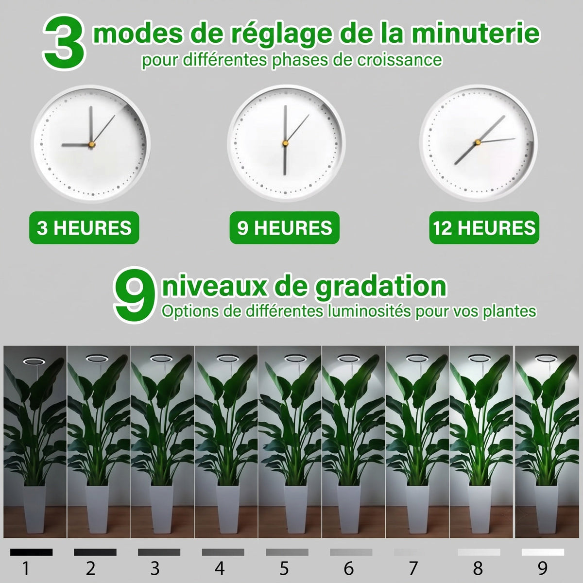 Floramoot  Lampe De Croissance Plante