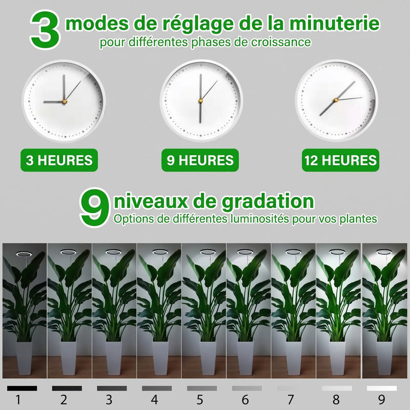 Floramoot  Lampe De Croissance Plante