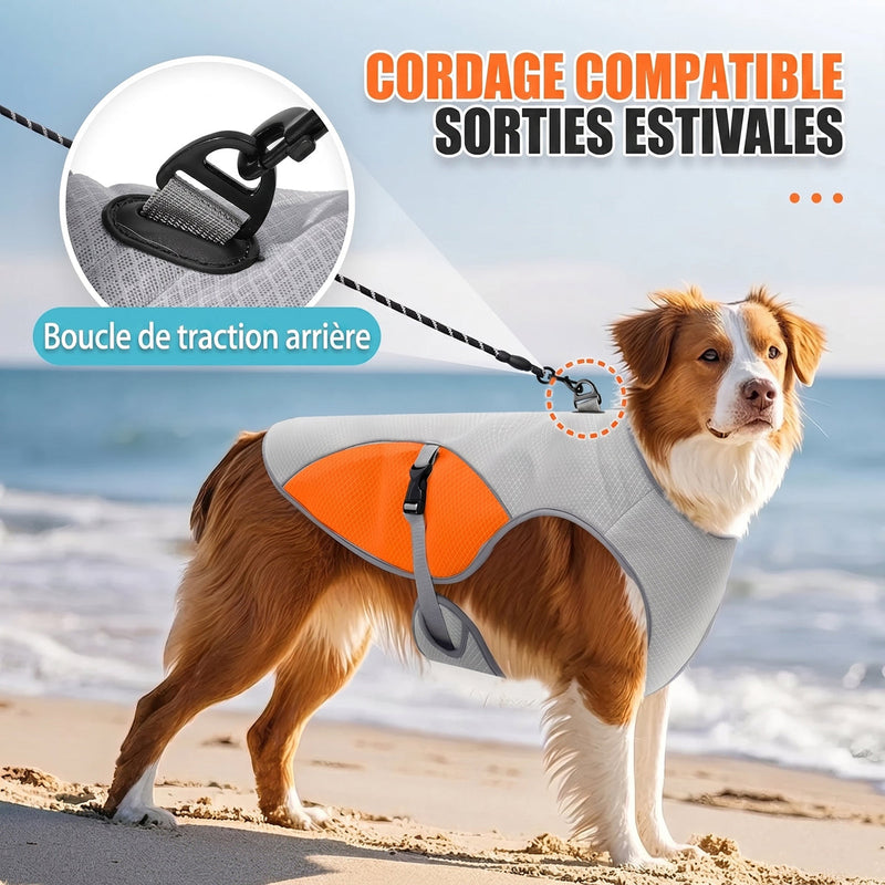 IcePupur Gilet Rafraîchissant Pour Chien