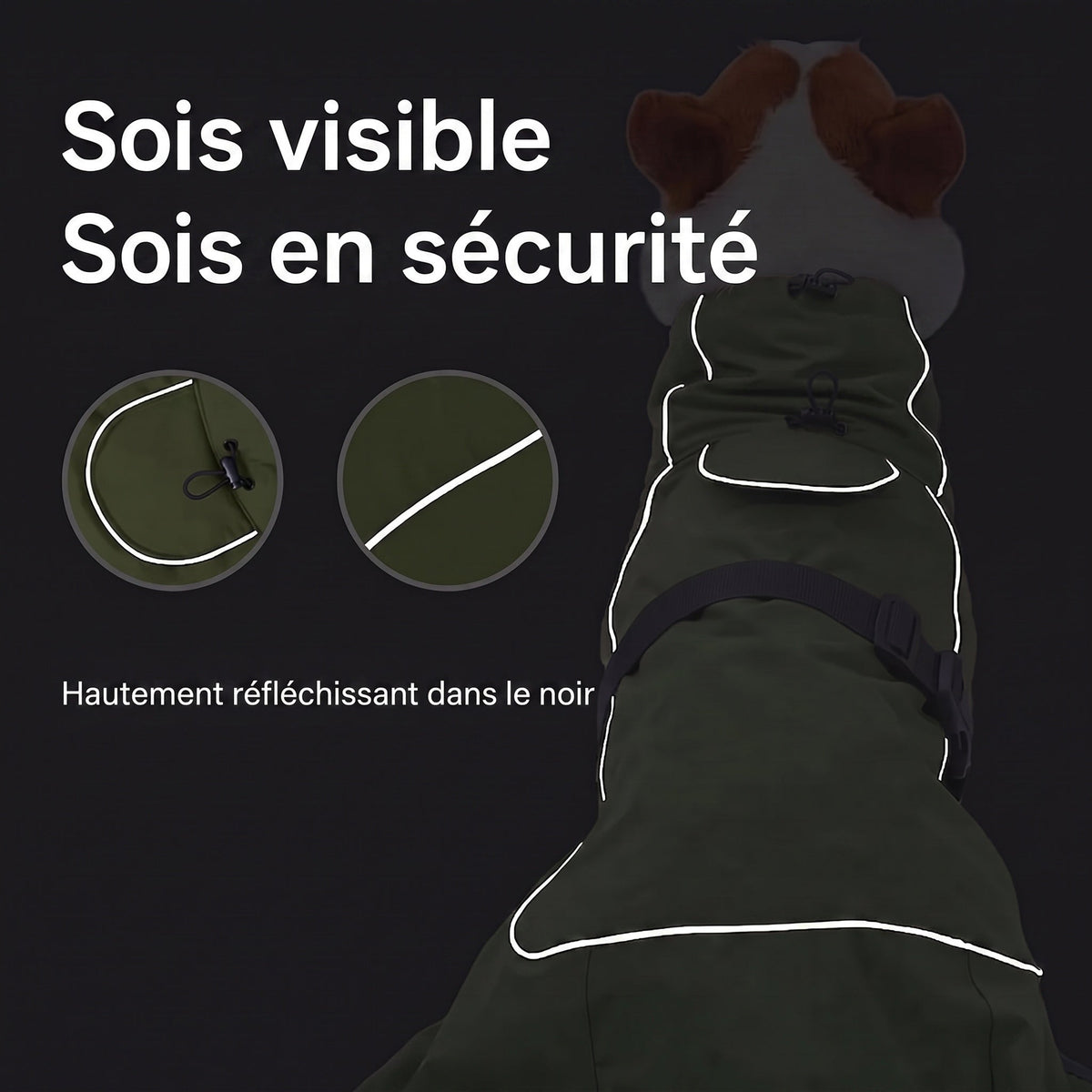 RainoTail Imperméable Pour Chien