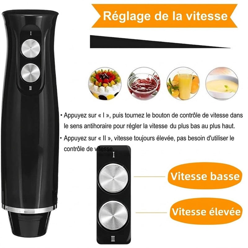 BlenDiox Mixeur Plongeant