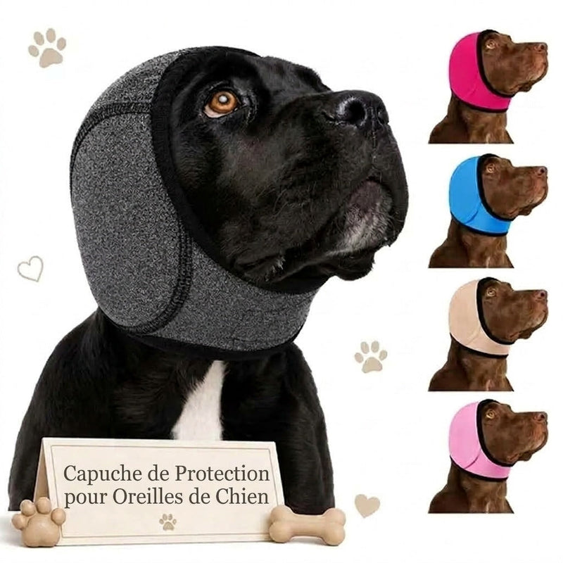 EarPupies Casque Anti Bruit Chien