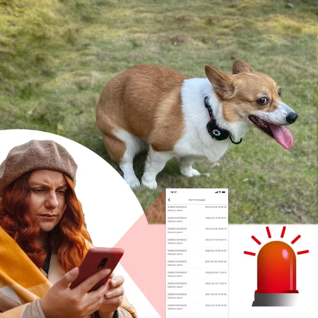 ChienMote Colliers GPS pour Chien