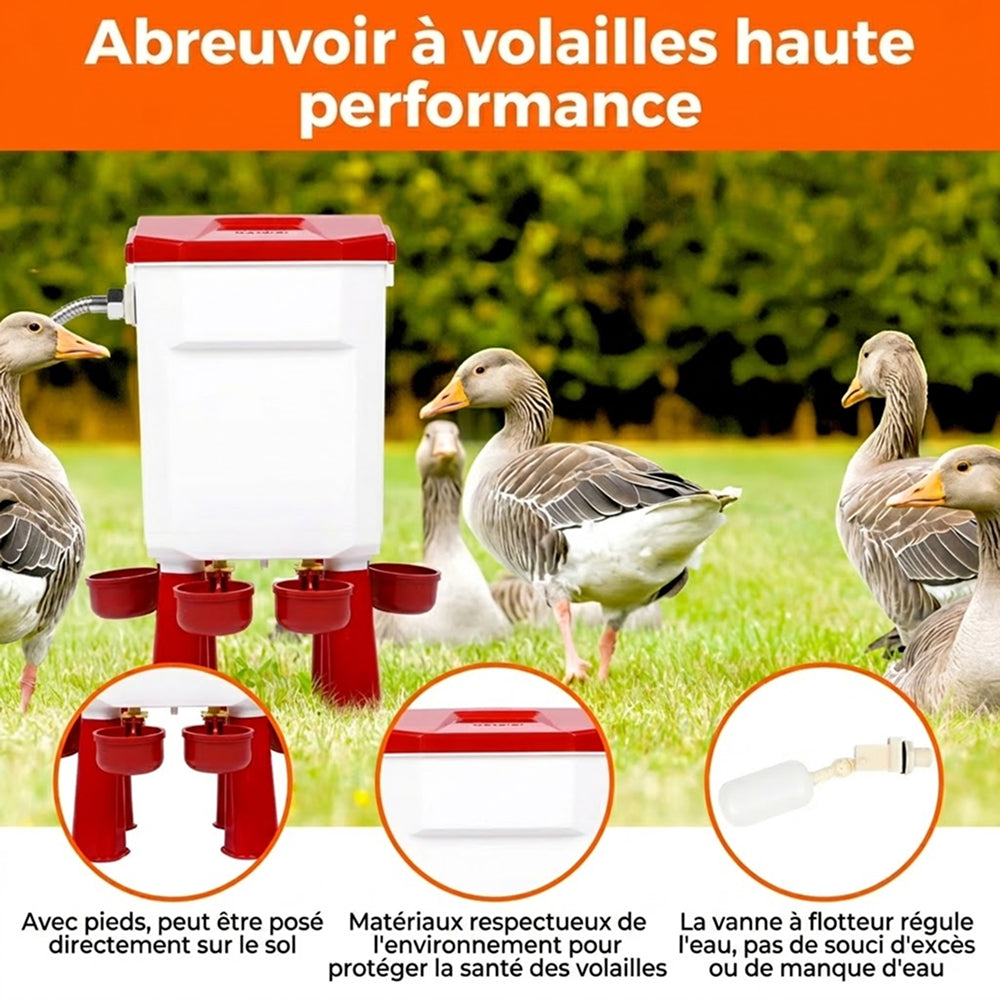 Flochiken Abreuvoir Automatique Poule