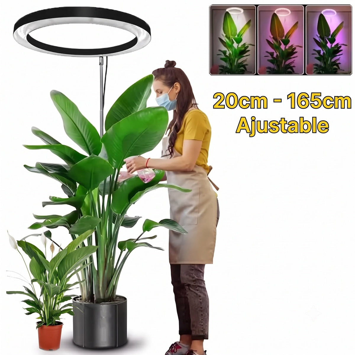Floramoot  Lampe De Croissance Plante