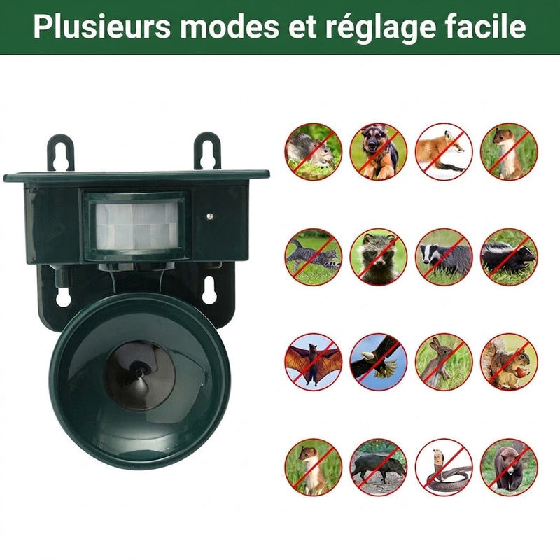 SonicSafy Repulsif Oiseaux Ultrason