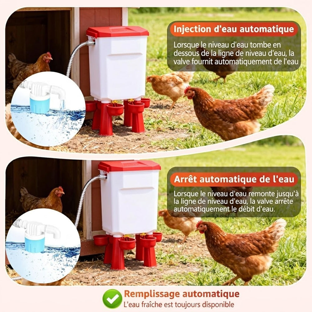 Flochiken Abreuvoir Automatique Poule