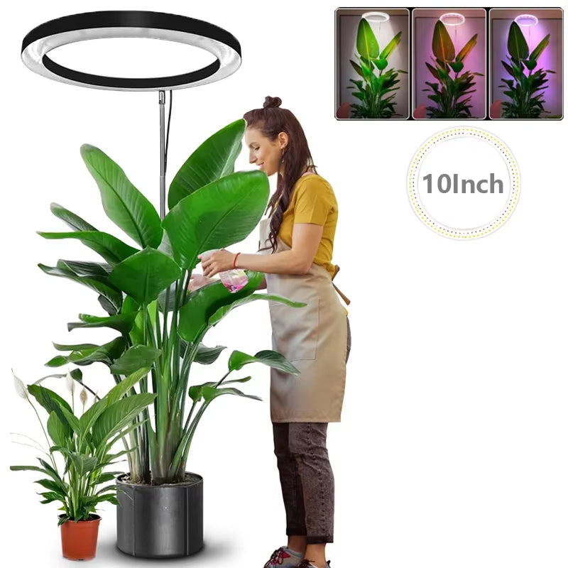 Floramoot  Lampe De Croissance Plante