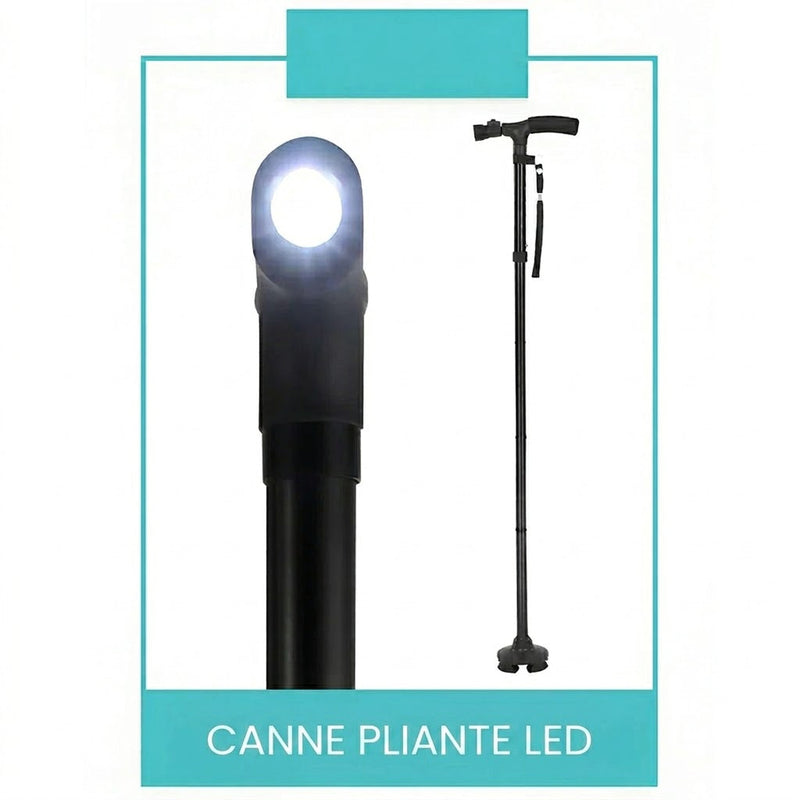 FlexCanet Canne De Marche