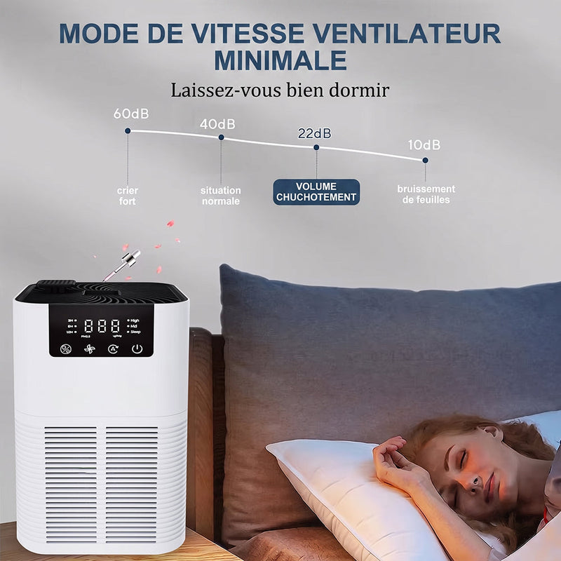 Buddemas Purificateur d'Air