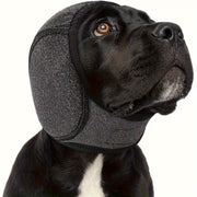 EarPupies Casque Anti Bruit Chien