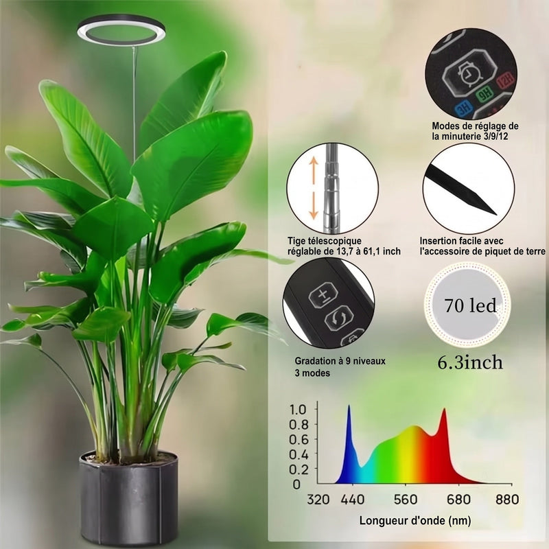Floramoot  Lampe De Croissance Plante