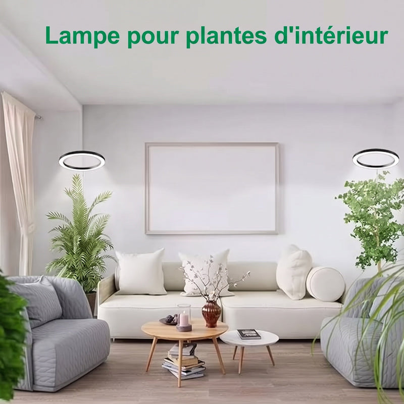 Floramoot  Lampe De Croissance Plante