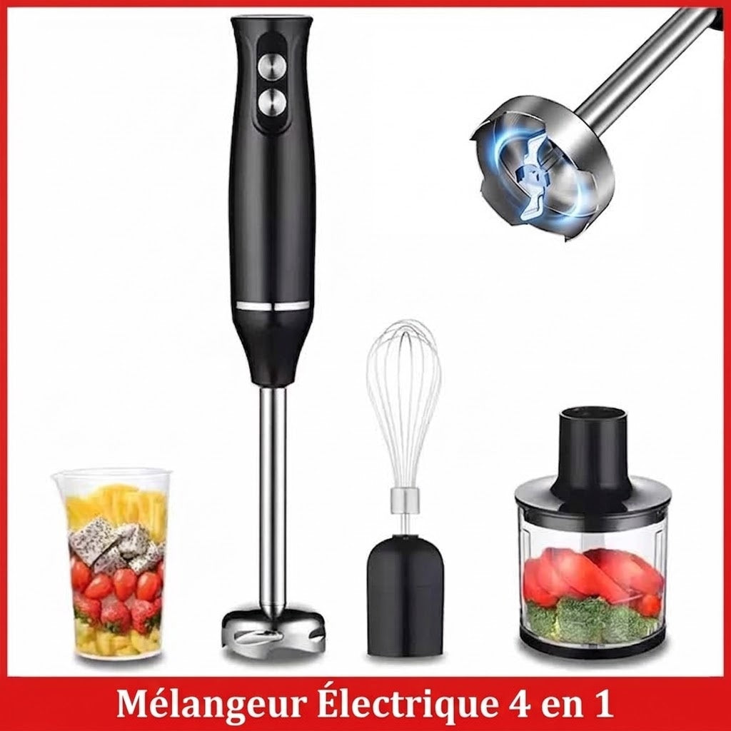 BlenDiox Mixeur Plongeant