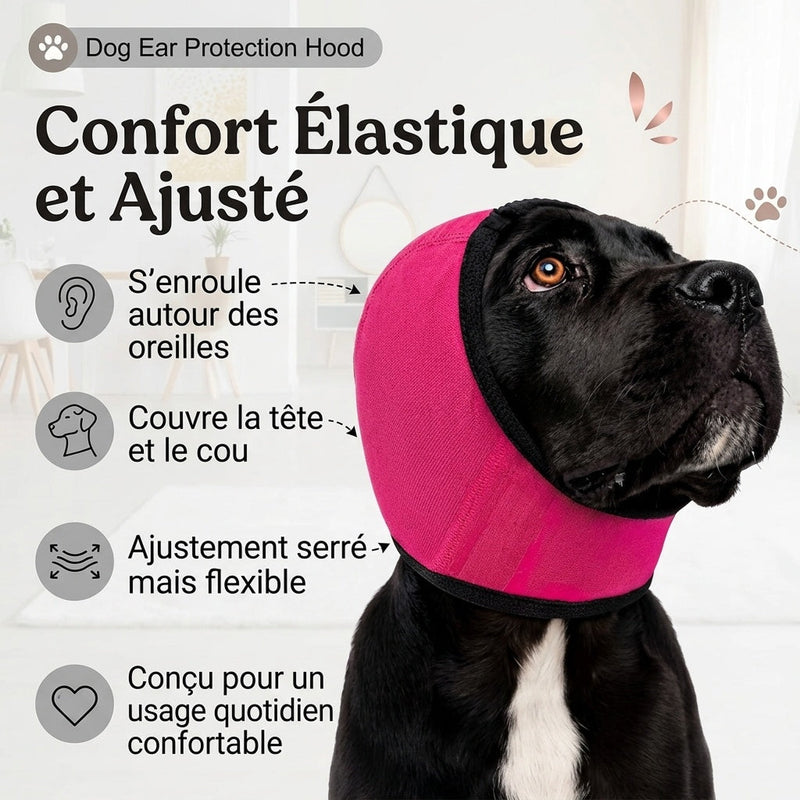 EarPupies Casque Anti Bruit Chien