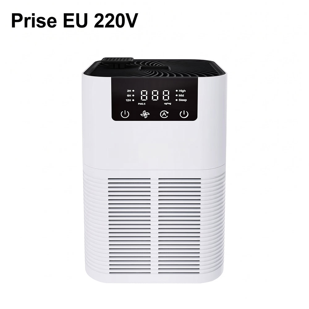 Buddemas Purificateur d'Air