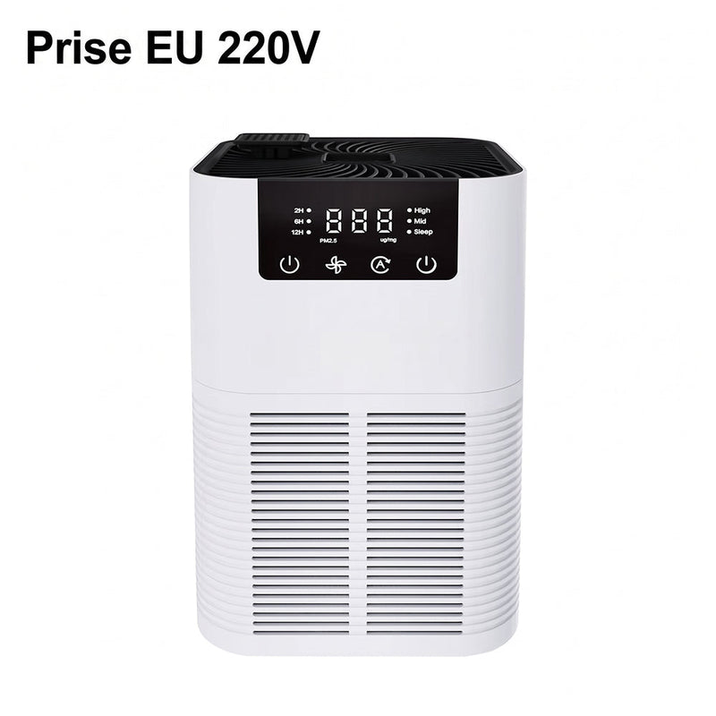 Buddemas Purificateur d'Air